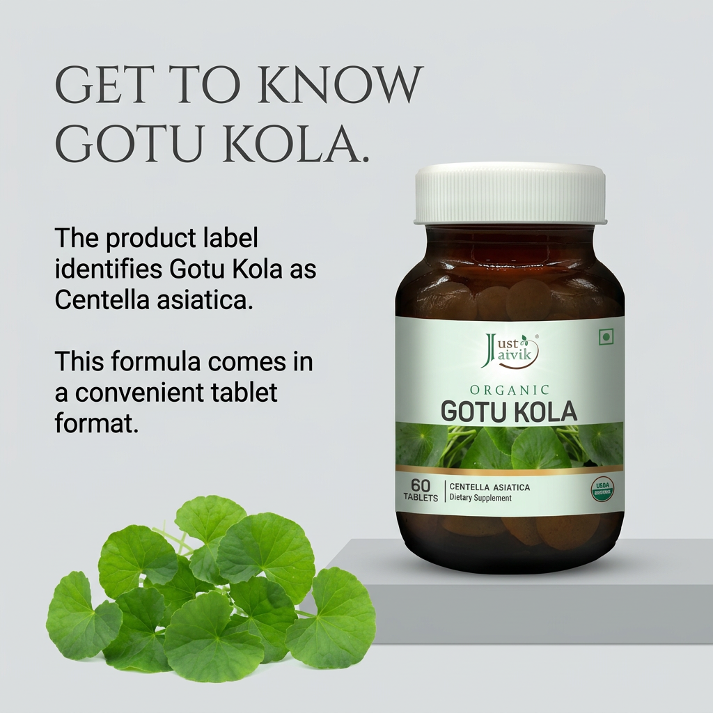 Gotu Kola image 3
