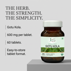Gotu Kola image 4