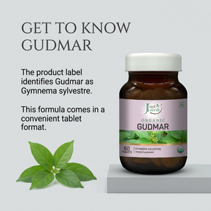 Gudmar image 3