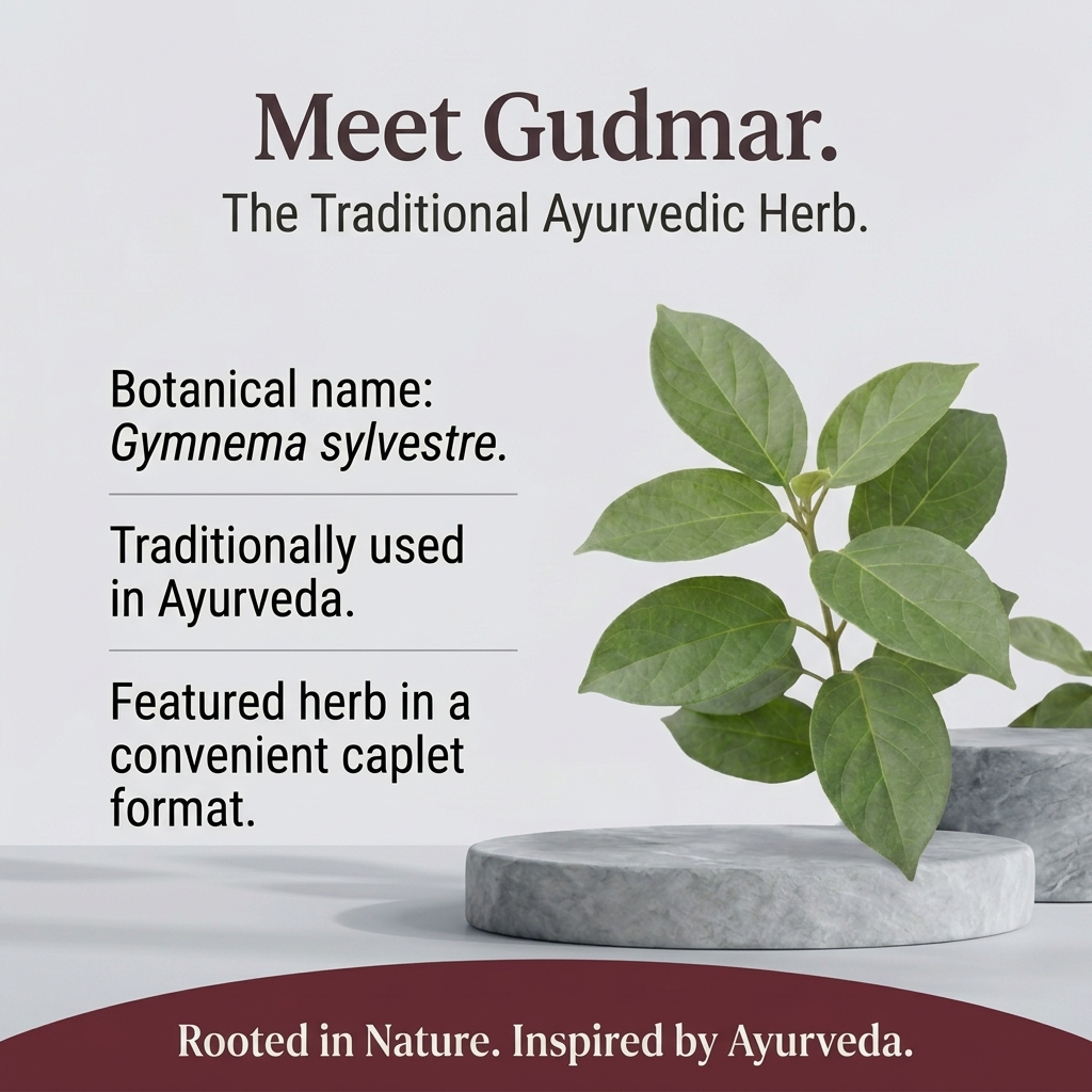 Gymnema herb spotlight in burgundy and silver-grey