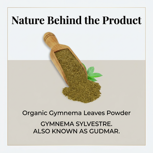 Gymnema image 3