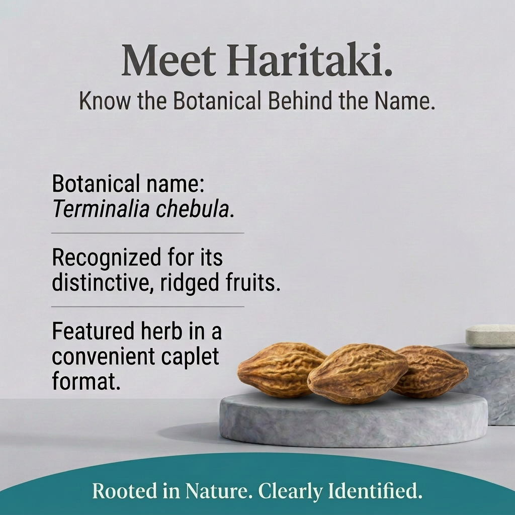 Haritaki image 2 with a low, side-by-side fruit arrangement