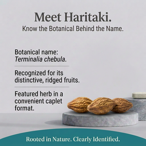 Haritaki image 2 with a low, side-by-side fruit arrangement