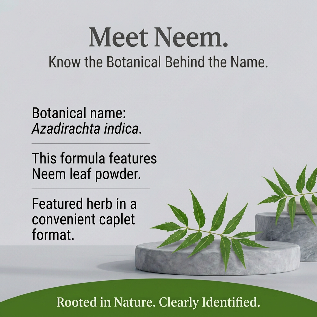 Neem botanical spotlight