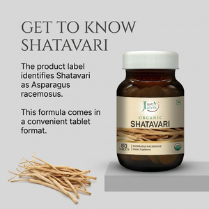 Shatavari image 3