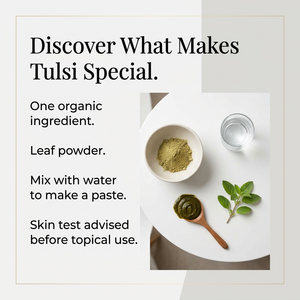 Tulsi image 2