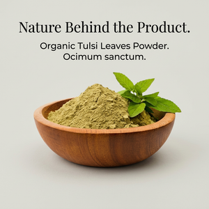 Tulsi image 3