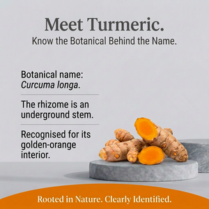 Turmeric herb spotlight with empty rear pedestal