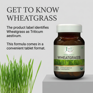 Wheatgrass image 3