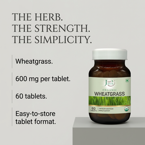 Wheatgrass image 4