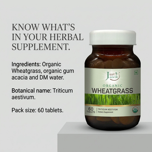 Wheatgrass image 5