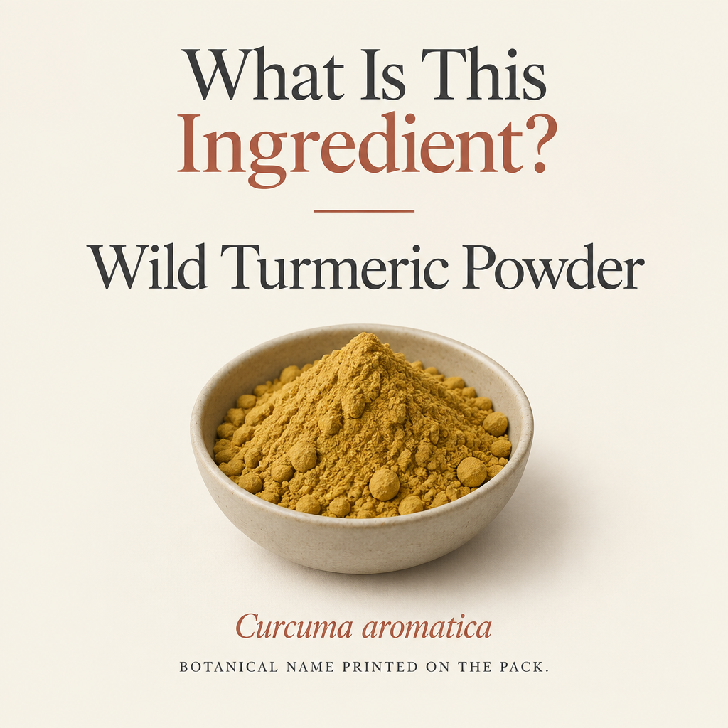 Wild Turmeric introduction