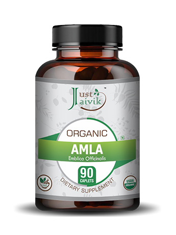 Organic Amla (Indian Gooseberry) Caplet - 750mg, 90 count | Just Jaivik