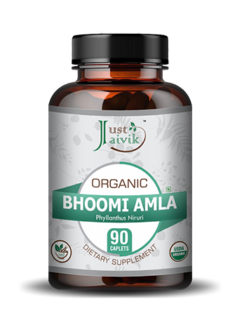 Organic Bhoomi Amla Caplets - 750 mg, 90 counts