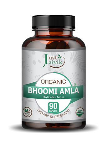 Organic Bhoomi Amla Caplet - 750mg, 90 count