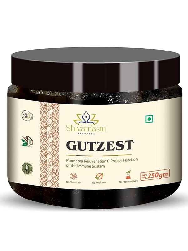 GUTZEST - Chyawanprash 250 grams each (0.55 lb) – Pack of 2 | Ayurvedic Herbal Jam with 52 Ayurvedic Herbs | Shivamastu Ayurveda