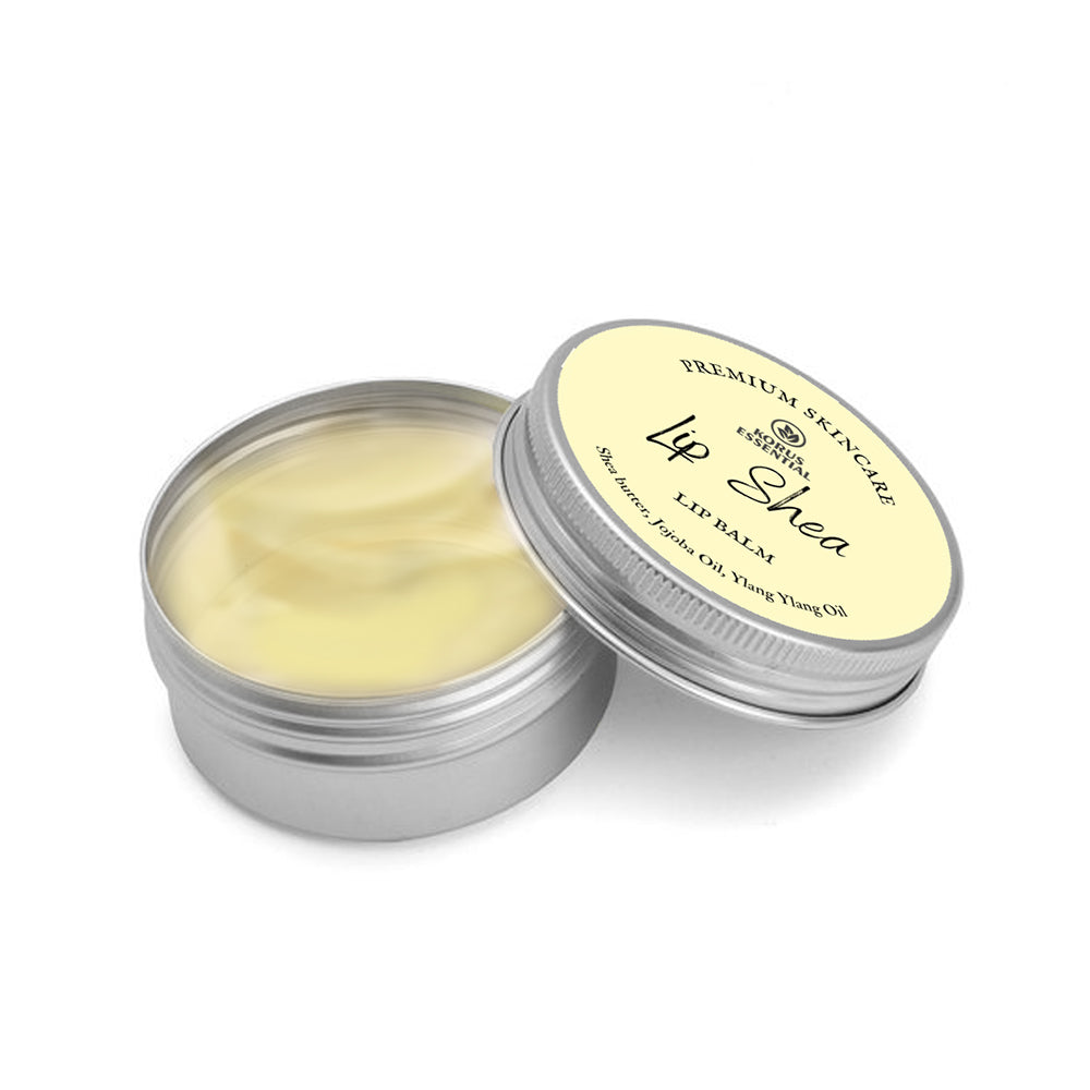Korus Essential Lip Shea Balm, 8gm freeshipping - Indian Herbs Online